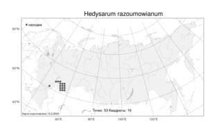 Hedysarum razoumowianum, Копеечник Разумовского Helm & Fisch. ex DC., Атлас флоры России (FLORUS) (Россия)