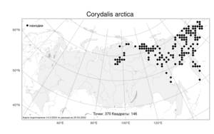 Corydalis arctica, Хохлатка арктическая Popov, Атлас флоры России (FLORUS) (Россия)