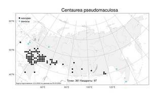 Centaurea pseudomaculosa, Василек ложнопятнистый Dobrocz, Атлас флоры России (FLORUS) (Россия)