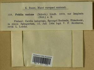 Pohlia nutans (Hedw.) Lindb., Гербарий мохообразных, Мхи - Карелия, Ленинградская и Мурманская области (B4) (Россия)