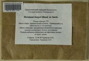 Dicranum undulatum Schrad. ex Brid., Гербарий мохообразных, Мхи - Архангельская и Вологодская области, Коми, Ненецкий АО (B7) (Россия)