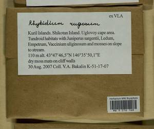 Rhytidium rugosum (Hedw.) Kindb., Гербарий мохообразных, Мхи - Дальний Восток (без Чукотки и Камчатки) (B20) (Россия)
