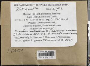 Dicranella curvipes (Lindb.) Ignatov, Гербарий мохообразных, Мхи - Дальний Восток (без Чукотки и Камчатки) (B20) (Россия)