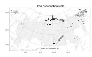 Poa pseudoabbreviata, Мятлик ложноукороченный Roshev., Атлас флоры России (FLORUS) (Россия)
