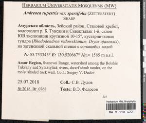 Andreaea rupestris Hedw., Гербарий мохообразных, Мхи - Дальний Восток (без Чукотки и Камчатки) (B20) (Россия)