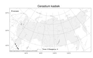 Cerastium kasbek, Ясколка казбекская Parrot, Атлас флоры России (FLORUS) (Россия)