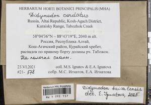 Didymodon baicalensis Ignatova & Ignatov, Гербарий мохообразных, Мхи - Западная Сибирь (включая Алтай) (B15) (Россия)