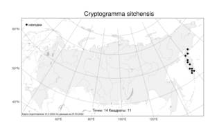 Cryptogramma sitchensis (Rupr.) T. Moore, Атлас флоры России (FLORUS) (Россия)