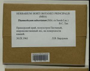 Thamnobryum subseriatum (Mitt. ex Sande Lac.) B.C. Tan, Гербарий мохообразных, Мхи - Дальний Восток (без Чукотки и Камчатки) (B20) (Россия)