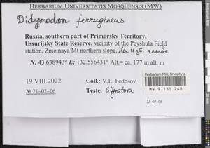 Geheebia ferruginea (Schimp. ex Besch.) R.H. Zander, Гербарий мохообразных, Мхи - Дальний Восток (без Чукотки и Камчатки) (B20) (Россия)