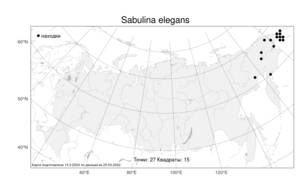 Sabulina elegans, Минуарция изящная (Cham. & Schltdl.) Dillenb. & Kadereit, Атлас флоры России (FLORUS) (Россия)