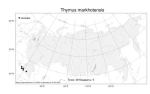 Thymus markhotensis, Чабрец маркотхский Maleev, Атлас флоры России (FLORUS) (Россия)