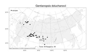 Gentianopsis doluchanovii, Горечавочник Долуханова (Grossh.) Tzvelev, Атлас флоры России (FLORUS) (Россия)