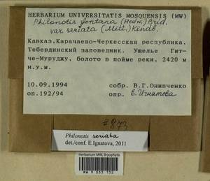 Philonotis seriata Mitt., Гербарий мохообразных, Мхи - Северный Кавказ и Предкавказье (B12) (Россия)