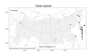 Carex stylosa, Осока столбиконосная C.A.Mey., Атлас флоры России (FLORUS) (Россия)