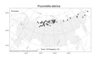 Puccinellia sibirica, Бескильница сибирская Holmb., Атлас флоры России (FLORUS) (Россия)