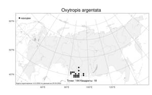 Oxytropis argentata, Остролодочник серебристый (Pall.) Pers., Атлас флоры России (FLORUS) (Россия)