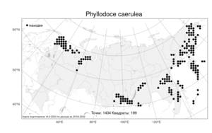 Phyllodoce caerulea, Филлодоце голубая (L.) Bab., Атлас флоры России (FLORUS) (Россия)