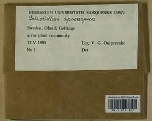 Schistidium apocarpum (Hedw.) Bruch & Schimp., Гербарий мохообразных, Мхи - Западная Европа (BEu) (Швеция)