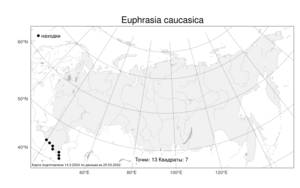 Euphrasia caucasica, Очанка гребенчатая, Атлас флоры России (FLORUS) (Россия)