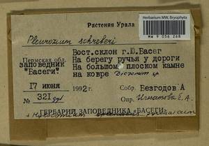 Pleurozium schreberi (Willd. ex Brid.) Mitt., Гербарий мохообразных, Мхи - Пермский край, Удмуртия, Свердловская и Кировская области (B8) (Россия)