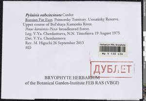 Bryophyta, Гербарий мохообразных, Мхи - Дальний Восток (без Чукотки и Камчатки) (B20) (Россия)
