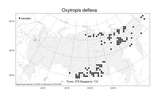 Oxytropis deflexa, Остролодочник отклоненный  (Pall.) DC., Атлас флоры России (FLORUS) (Россия)