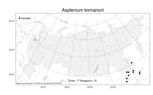 Asplenium komarovii, Asplenium scolopendrium subsp. americanum (Fernald) N. Heo, Атлас флоры России (FLORUS) (Россия)