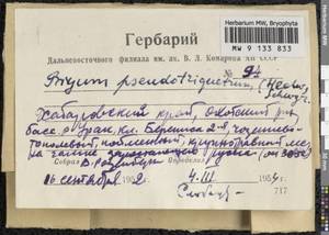 Ptychostomum pseudotriquetrum (Hedw.) J.R. Spence & H.P. Ramsay, Гербарий мохообразных, Мхи - Дальний Восток (без Чукотки и Камчатки) (B20) (Россия)