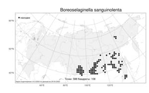 Boreoselaginella sanguinolenta (L.) Li Bing Zhang & X. M. Zhou, Атлас флоры России (FLORUS) (Россия)