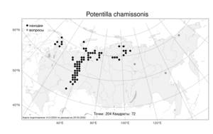 Potentilla chamissonis, Лапчатка Шамиссо Hultén, Атлас флоры России (FLORUS) (Россия)
