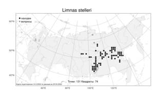 Limnas stelleri, Лимнас Стеллера Trin., Атлас флоры России (FLORUS) (Россия)