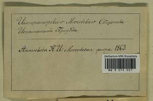 Polytrichum piliferum Hedw., Гербарий мохообразных, Мхи - Москва и Московская область (B6a) (Россия)