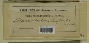 Dicranodontium denudatum (Brid.) E. Britton, Гербарий мохообразных, Мхи - Западная Европа (BEu) (Неизвестно)
