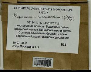Plagiomnium cuspidatum (Hedw.) T.J. Kop., Гербарий мохообразных, Мхи - Центральное Нечерноземье (B6) (Россия)
