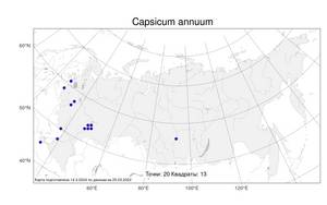 Capsicum annuum, Стручковый перец однолетний L., Атлас флоры России (FLORUS) (Россия)