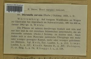 Dicranellopsis subulata (Hedw.) Bonfim Santos, Siebel & Fedosov, Гербарий мохообразных, Мхи - Западная Европа (BEu) (Германия)