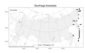 Saxifraga bracteata, Камнеломка прицветниковая D. Don, Атлас флоры России (FLORUS) (Россия)