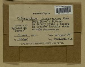 Polytrichum juniperinum Hedw., Гербарий мохообразных, Мхи - Пермский край, Удмуртия, Свердловская и Кировская области (B8) (Россия)