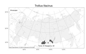 Trollius lilacinus, Купальница лиловая Bunge, Атлас флоры России (FLORUS) (Россия)