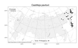 Castilleja pavlovii, Кастиллея Павлова Rebrist., Атлас флоры России (FLORUS) (Россия)