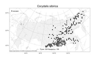 Corydalis sibirica, Хохлатка сибирская (L. fil.) Pers., Атлас флоры России (FLORUS) (Россия)