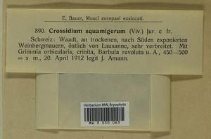 Crossidium squamiferum, Гербарий мохообразных, Мхи - Западная Европа (BEu) (Швейцария)