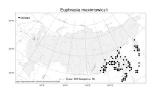 Euphrasia maximowiczii, Очанка Максимовича Wettst. ex Palib., Атлас флоры России (FLORUS) (Россия)