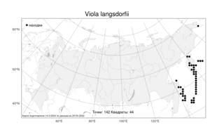 Viola langsdorfii, Фиалка Лангсдорфа (Regel) Fisch. ex Ging., Атлас флоры России (FLORUS) (Россия)