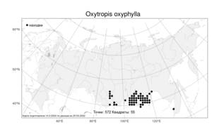 Oxytropis oxyphylla, Остролодочник остролистный (Pall.) DC., Атлас флоры России (FLORUS) (Россия)