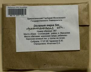 Dicranum majus Turner, Гербарий мохообразных, Мхи - Архангельская и Вологодская области, Коми, Ненецкий АО (B7) (Россия)