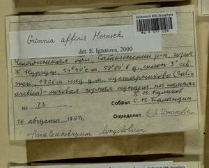 Grimmia longirostris Hook., Гербарий мохообразных, Мхи - Башкортостан, Челябинская и Оренбургская области (B14) (Россия)
