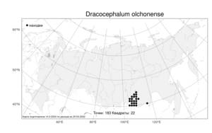 Dracocephalum olchonense, Змееголовник ольхонский Peschkova, Атлас флоры России (FLORUS) (Россия)