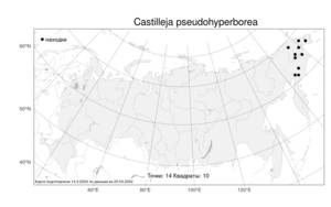 Castilleja pseudohyperborea, Кастиллея ложносеверная Rebrist., Атлас флоры России (FLORUS) (Россия)